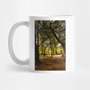 Autumn Walk Golitha falls Mug